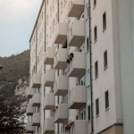 pexels photo 10135288