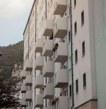 pexels photo 10135288