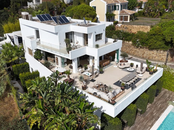 pexels photo 28449020