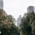 pexels photo 5845721