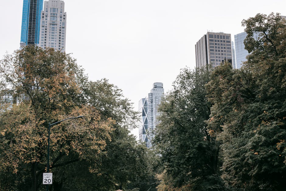 pexels photo 5845721